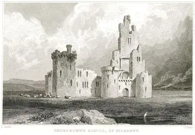 Courtstown Kalesi, Kilkenny