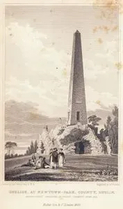 Stillorgan Obeliski, Newtown Park, Dublin