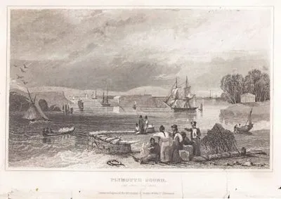 Mount Edgcumbe Country Parkdan Plymouth Sound Koyu