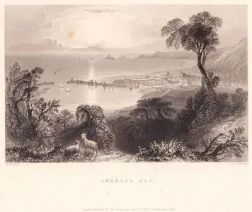 Swansea Koyu