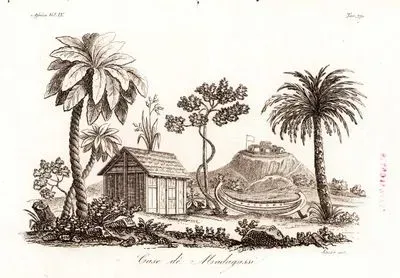 Madagaskar Evleri, Afrika Cilt IV. Resim 79.