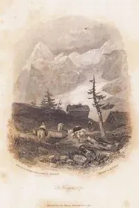 Wengen Alpleri
