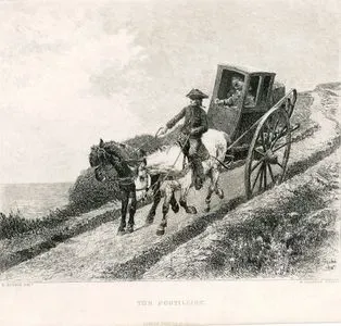 At Arabası Sürücüsü